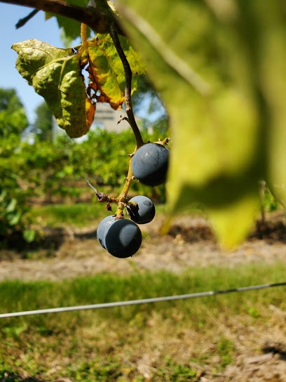 Trout Springs Winery