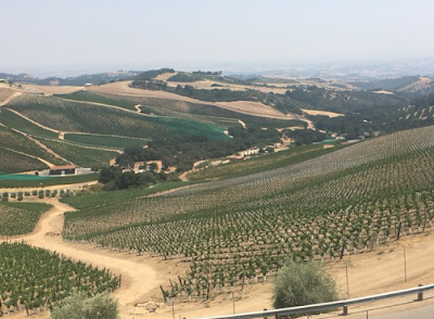 Behind The Scenes Wine Tours