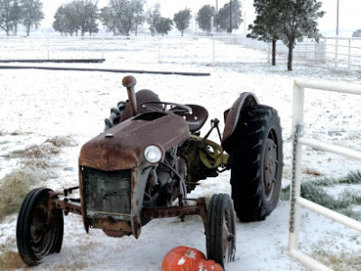 Alcove Farms