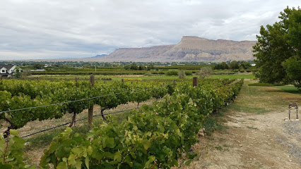 Colorado Cellars