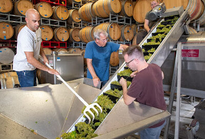 Seabold Cellars Production - Not Open to the Public