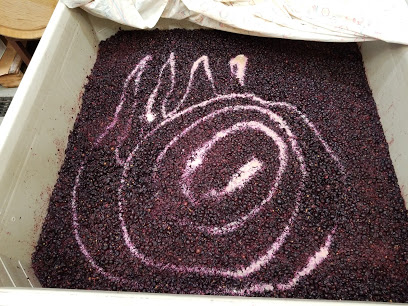 CORE Family Winery
