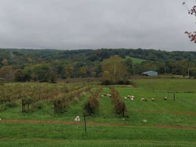 Lambs And Vines Winery
