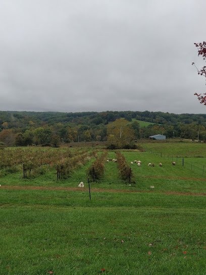 Lambs And Vines Winery