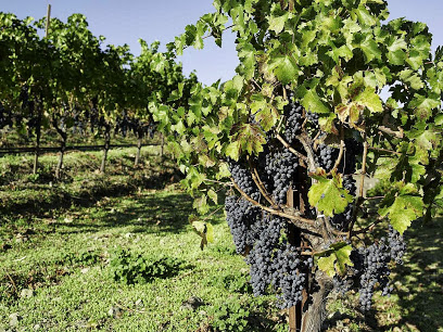 Kamen Estate Wines