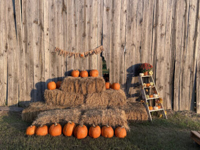 The Wiggins Farm