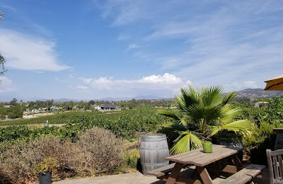 Palumbo Family Vineyard