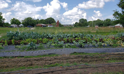 Urban Teaching Farm
