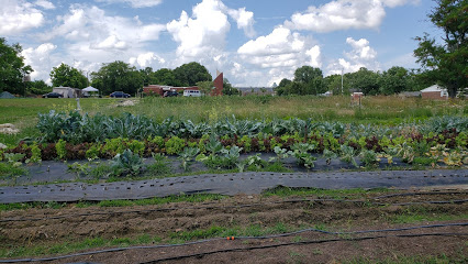 Urban Teaching Farm
