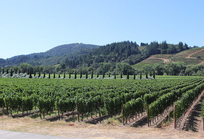 Dutcher Crossing Winery