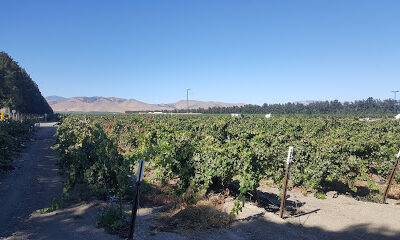 Scheid Vineyards - Winery & Tasting Room