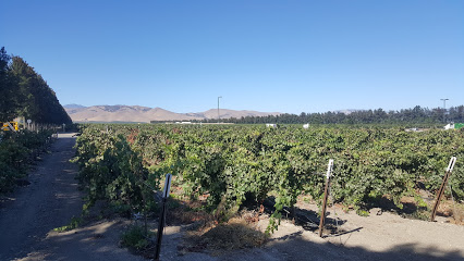 Scheid Vineyards - Winery & Tasting Room