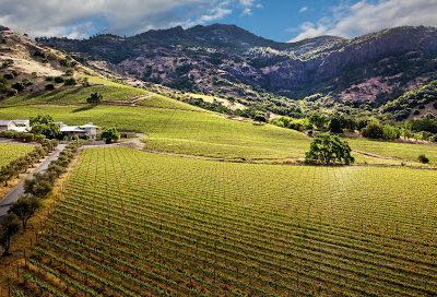 Shafer Vineyards