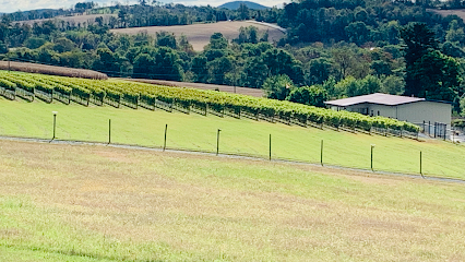 M & M Vineyards