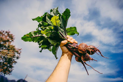Lancaster Farm Fresh Cooperative