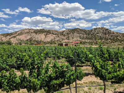Vivác Winery