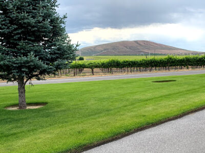 Goose Ridge Vineyard Corporate Office