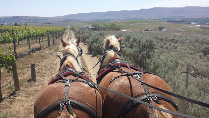 Red Mountain Trails, LLC