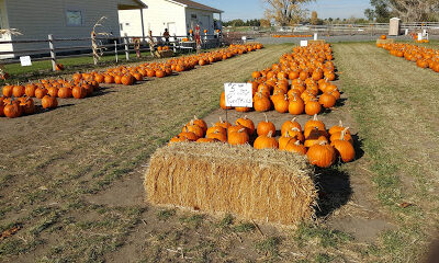 Christopherson Farm