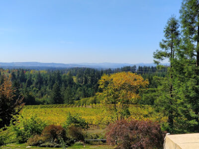 Garden Vineyards