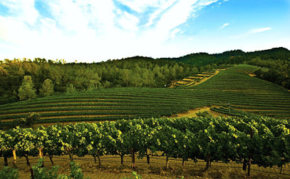 Clark-Claudon Vineyards
