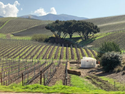Peake Ranch Winery