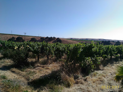 White Crane Winery