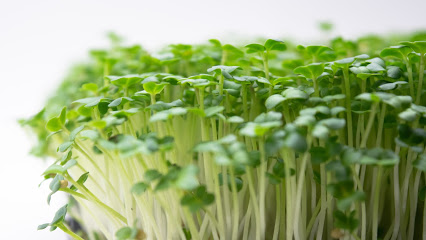 Jits Microfarm