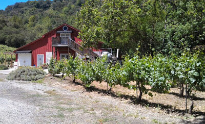 Chouinard Vineyards & Winery
