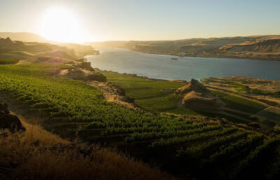 Maryhill Winery
