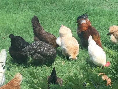 Brown Family Farms Co.