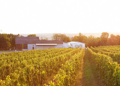 Hermann J. Wiemer Vineyard