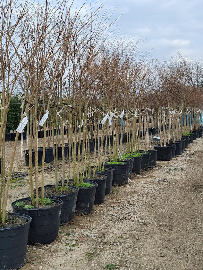 Fannin Tree Farm