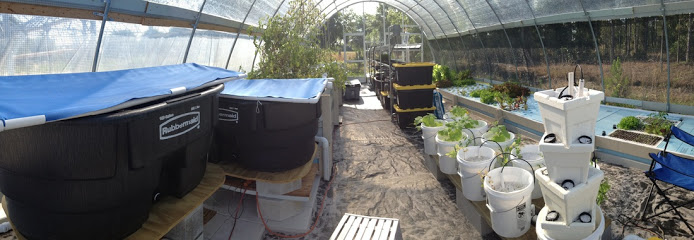 GreenView Aquaponics Family Farm and Apiary