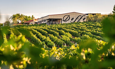 Doffo Winery
