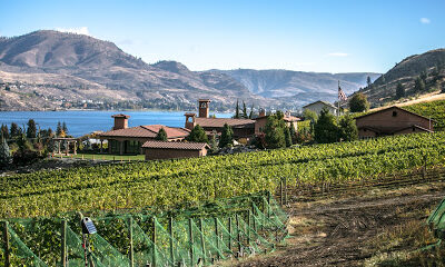 Tsillan Cellars