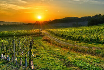 MJA Vineyards - Summit Tasting Room