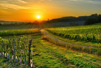 MJA Vineyards - Summit Tasting Room