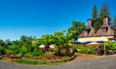 Russian River Vineyards