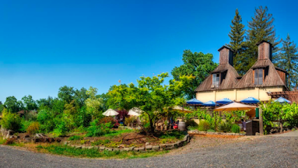 Russian River Vineyards