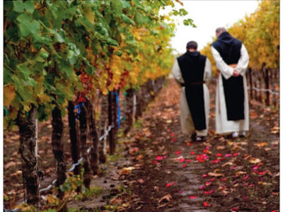 New Clairvaux Vineyard