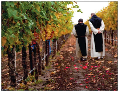 New Clairvaux Vineyard