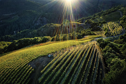 Newton Vineyard