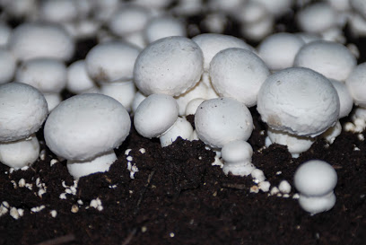 Thomas Mushrooms & Specialty Produce Inc