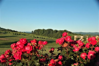 Dobbins Creek Vineyards