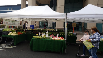 Downtown Anaheim Farmers Market