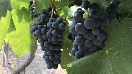 Prosser Wine Excursions, LLC
