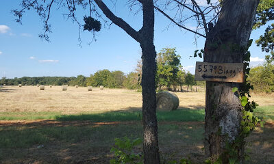 Blagg Road Farms