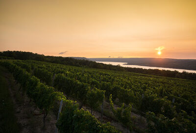 Dr. Konstantin Frank Winery