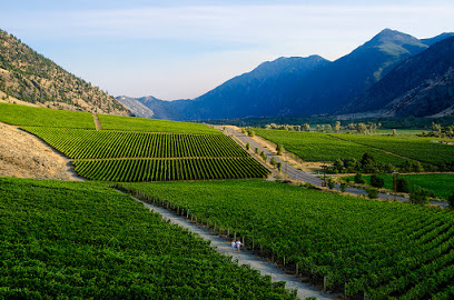 Vanessa Vineyard